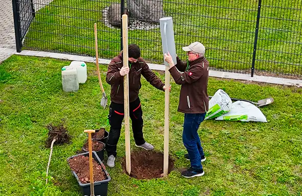 Gemeinsam für mehr Grün: ENERGIEUMDENKER.DE bei der Baumpflanz-Challenge